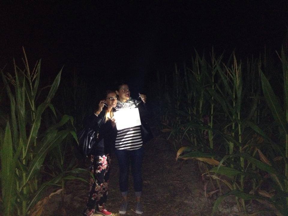 labirinto notturno, labirinto mais,